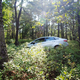 Image for article titled Fastest Or Slowest Ford Fiesta: Which Is More Fun?